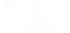 Theta Chi Logo